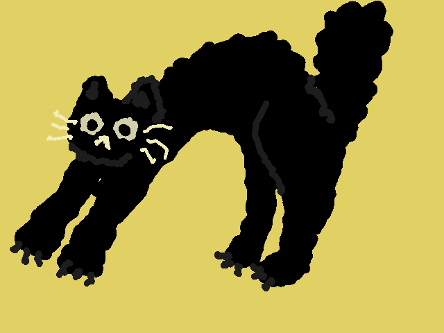 Chat